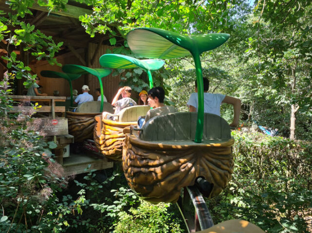 Sortie à Terra Botanica - Classe de 4e - Juill. 2025
