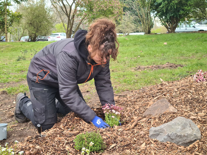 chantier de plantation dans la rocaille