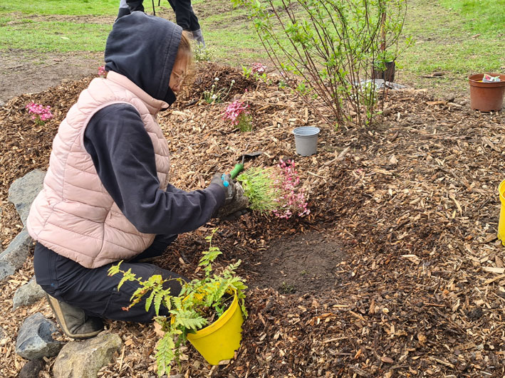 chantier de plantation dans la rocaille