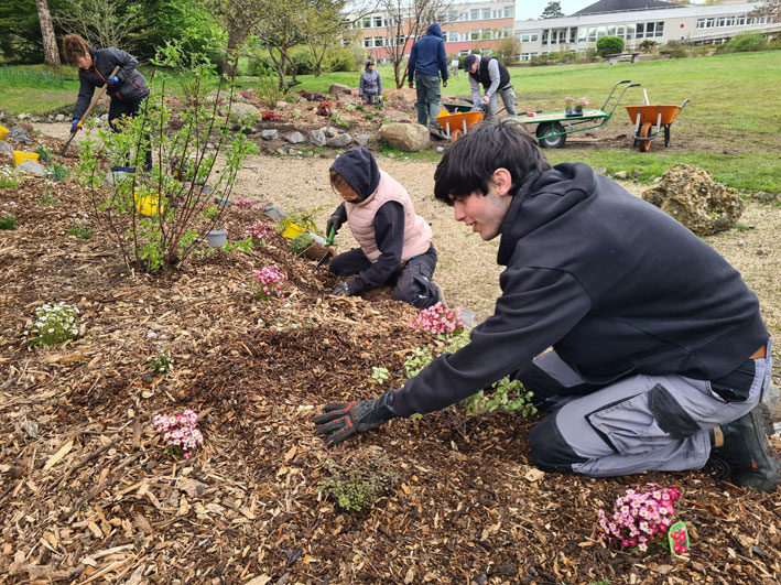 chantier de plantation dans la rocaille