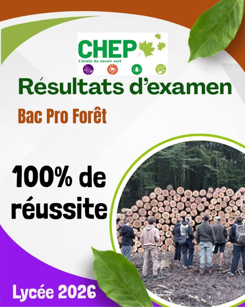 Résultats aux examens 2026 : 100% en Bac pro