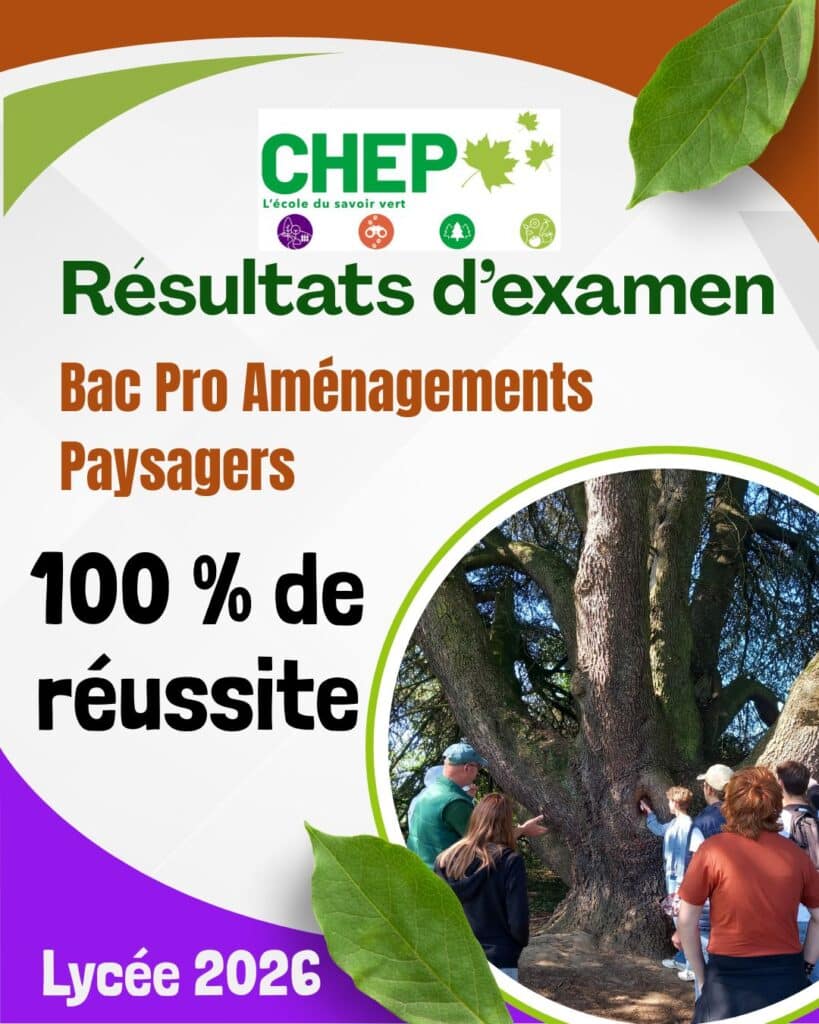 Résultats aux examens 2026 : 100% en Bac pro