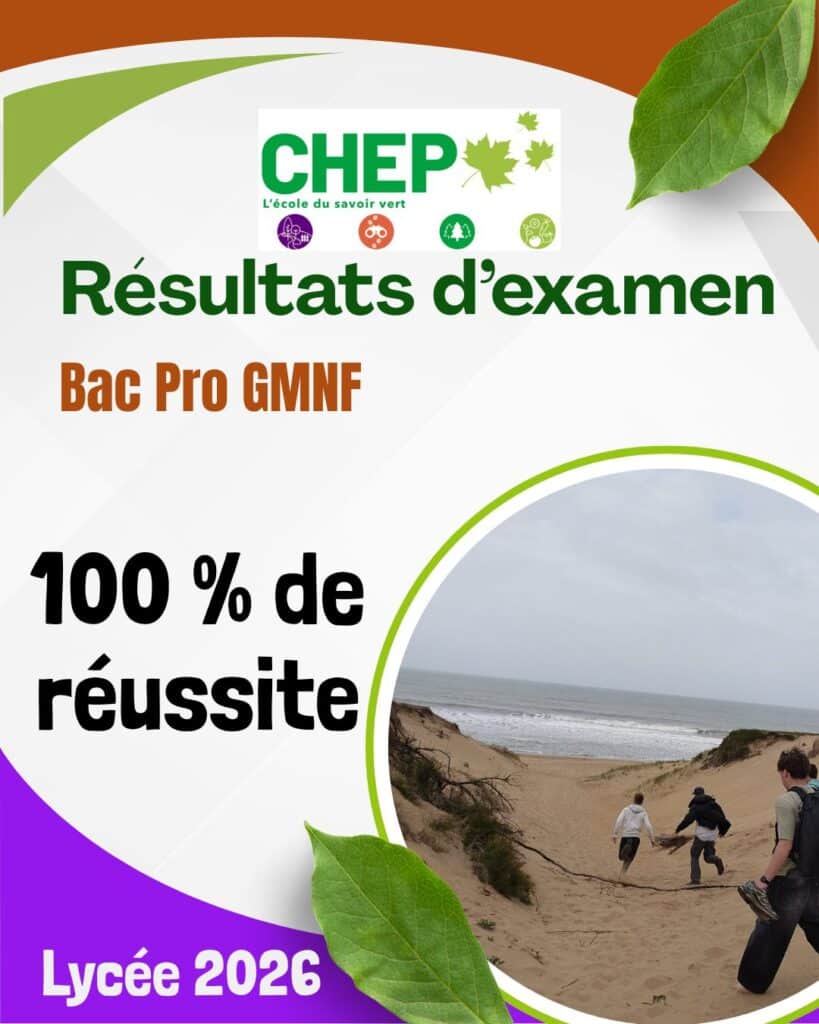 Résultats aux examens 2026 : 100% en Bac pro