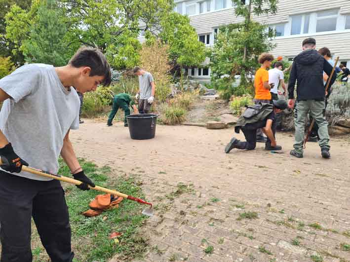 nettoyage et entretien des espaces verts du campus